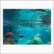 新江ノ島水族館から湯河原温泉へ♨️（2025/7/19-20）