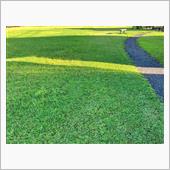 公園の草刈り