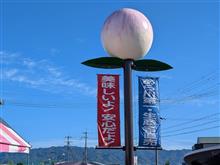 紀の川 あら川の桃