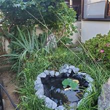 念願の池完成