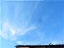 ７月２３日　暑さが続く水曜日、おはよ～♪