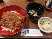 土用の丑の日は過ぎたけど