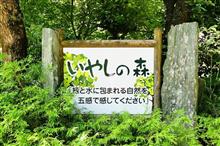 世帯主のカーライフは“家族の理解がないとあり得ない”コトに関する一考察www