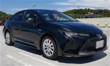 代車カローラの印象 代車カローラの印象