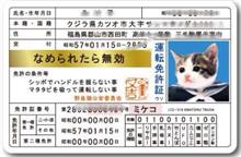 免許証更新