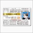 免許証更新