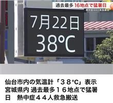 猛暑日☀️ (ΦωΦ)