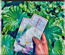 蓮の花を見に…