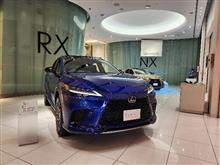 続々と還暦祝い で 都会へ 続々と還暦祝い で 都会へ