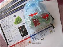 金魚！
