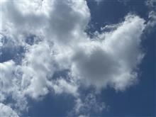 やっぱり｡ﾟ(ﾟ&#180;ω`ﾟ)ﾟ｡今日も
