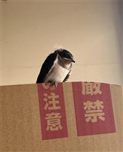 備忘録（涼しくなって秋模様ですが・・）