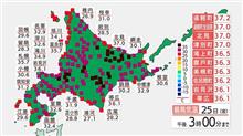 連続真夏日ってどうよ？ 