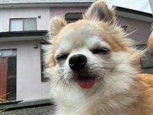 今日一転して涼しい日です