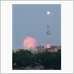 【お散歩】隅田川花火大会ですーーー🎆😀