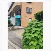 今からガレージで洗車します❣️
