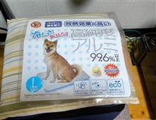 ペットの睡眠時の温度が30℃。