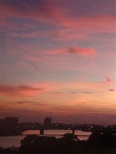 【お散歩】夕焼けのご褒美ですーーー🤗😀