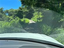 山都・吉無田で近場デー