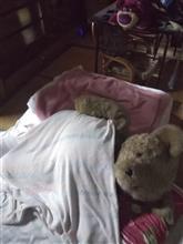 1日半大人しく寝ててくれた･･･留守番に成らないな？