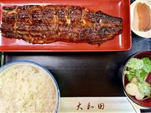 セレブな方々のプロ野球観戦♪