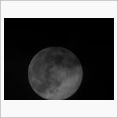 リス＆クマ運動会