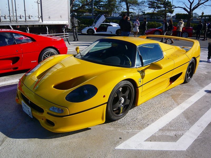 Ｆ５０
