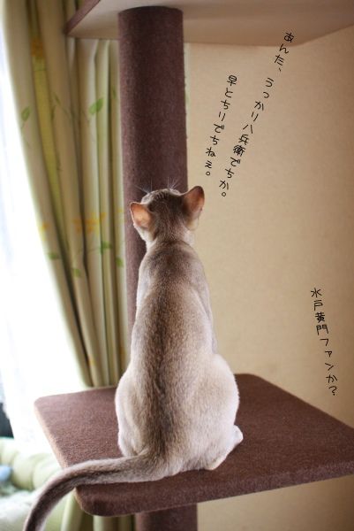 早とちり１