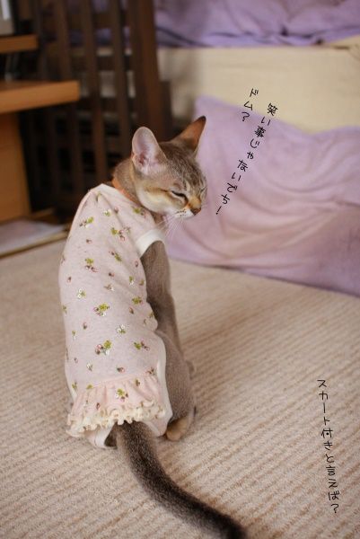 スカート付き