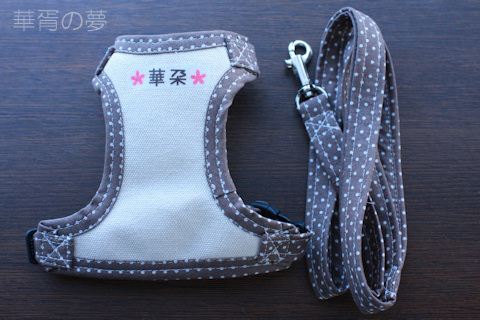 本命お年玉