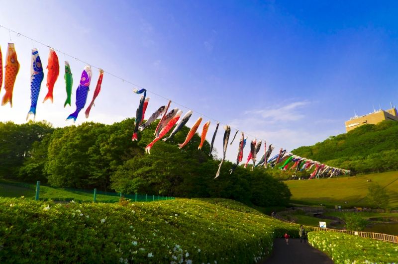 厚木市森の里若宮公園鯉のぼり