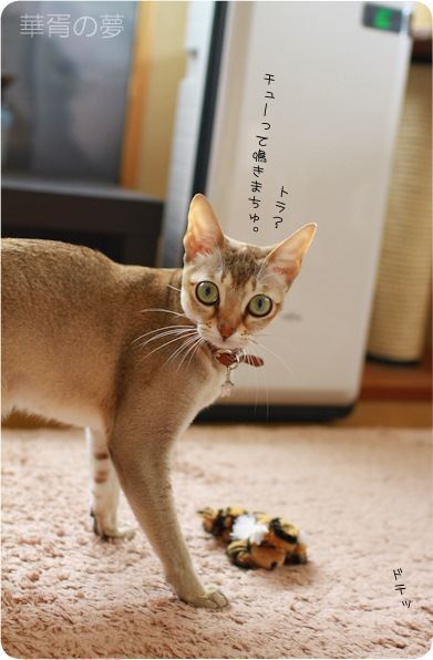 チュー？