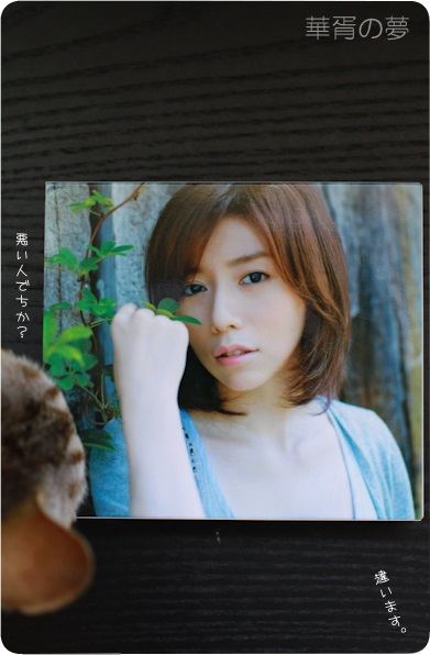 僕たちの未来