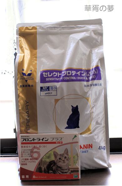 療法食４ｋｇ