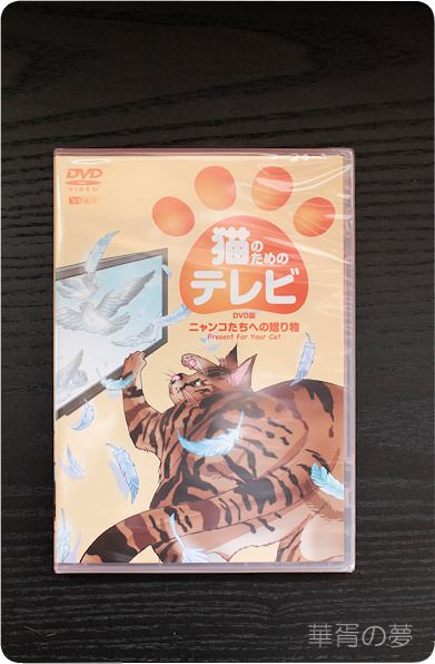 猫のためのテレビ