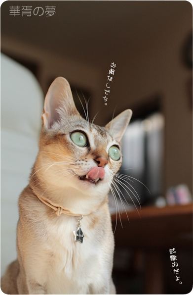検査結果
