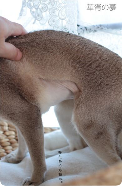 ちょっとだけよ。