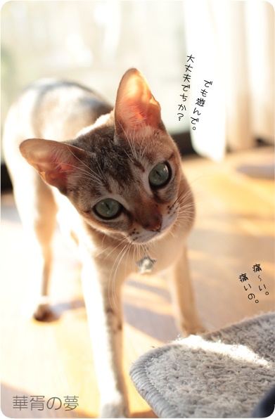 痛いの。