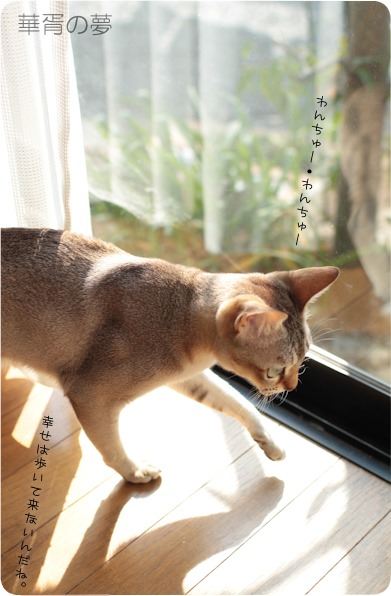 ワンツー・ワンツー