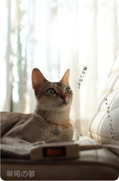 思い込み。
