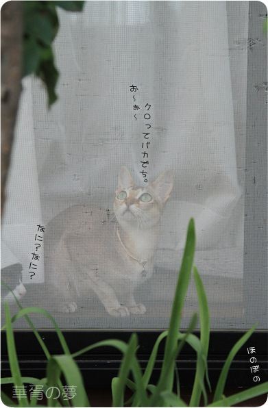 なに？なに？