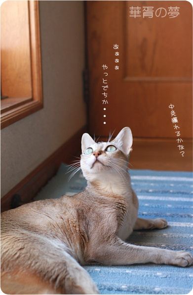 やっと。
