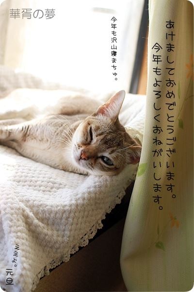 ２０１５　あけおめ