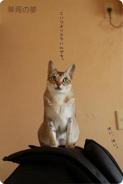 シンガプーラ
