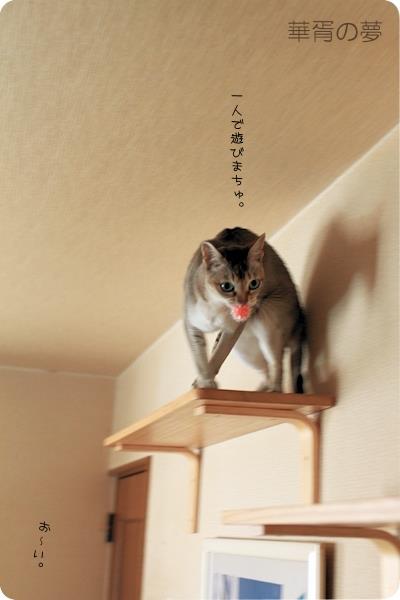 シンガプーラ