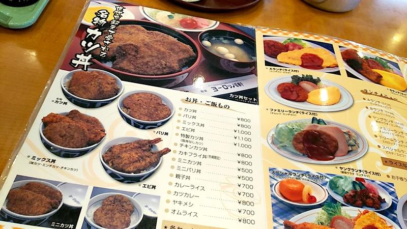 パケンのカツ丼 ｒｉｋｕのブログ ユメミボシ ｚｏｏｍ ｚｏｏｍ みんカラ