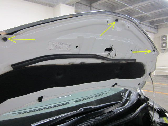 TOYOTA純正「20系アル用後期メッキフードモール」（トヨタ