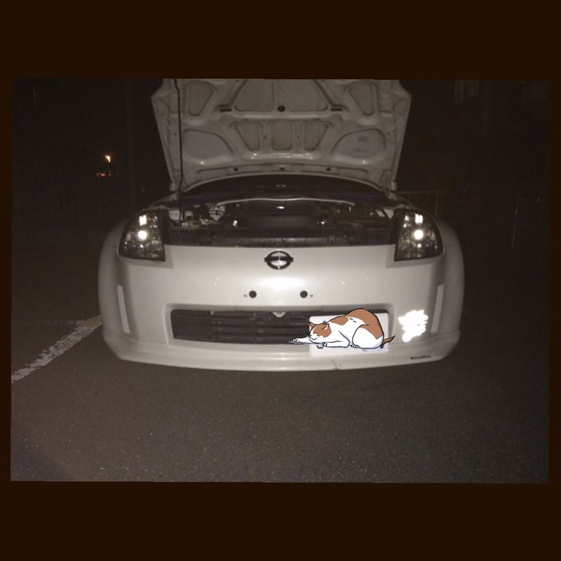 人気沸騰ブラドン RACESENGナンバープレート移動キット sonhaflex.pt