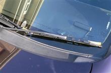 ホンダ ライフ JB7 JB5 カウルトップ ラメ入り
