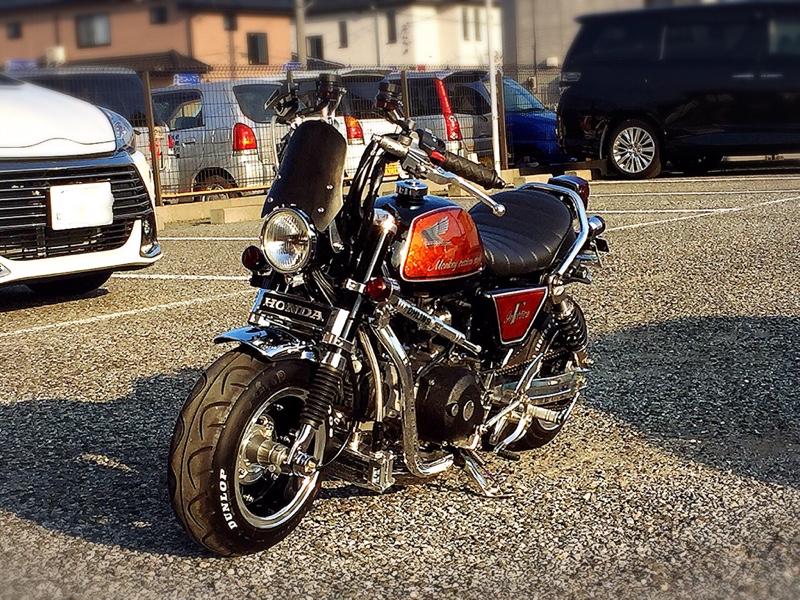 Aerovisor Mini（エアロバイザーミニ）